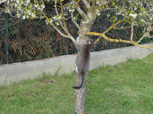 DSC03409.JPG