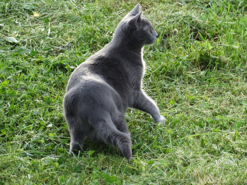 DSC03410.JPG