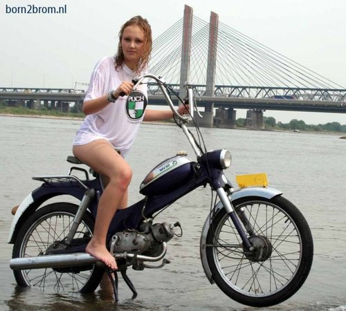 Puch_Tara_201-600x540.jpg