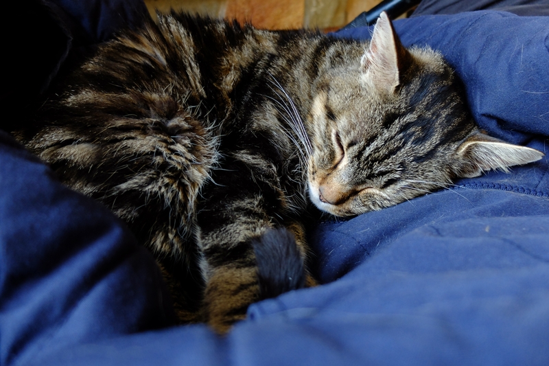 DSCF7021.JPG
