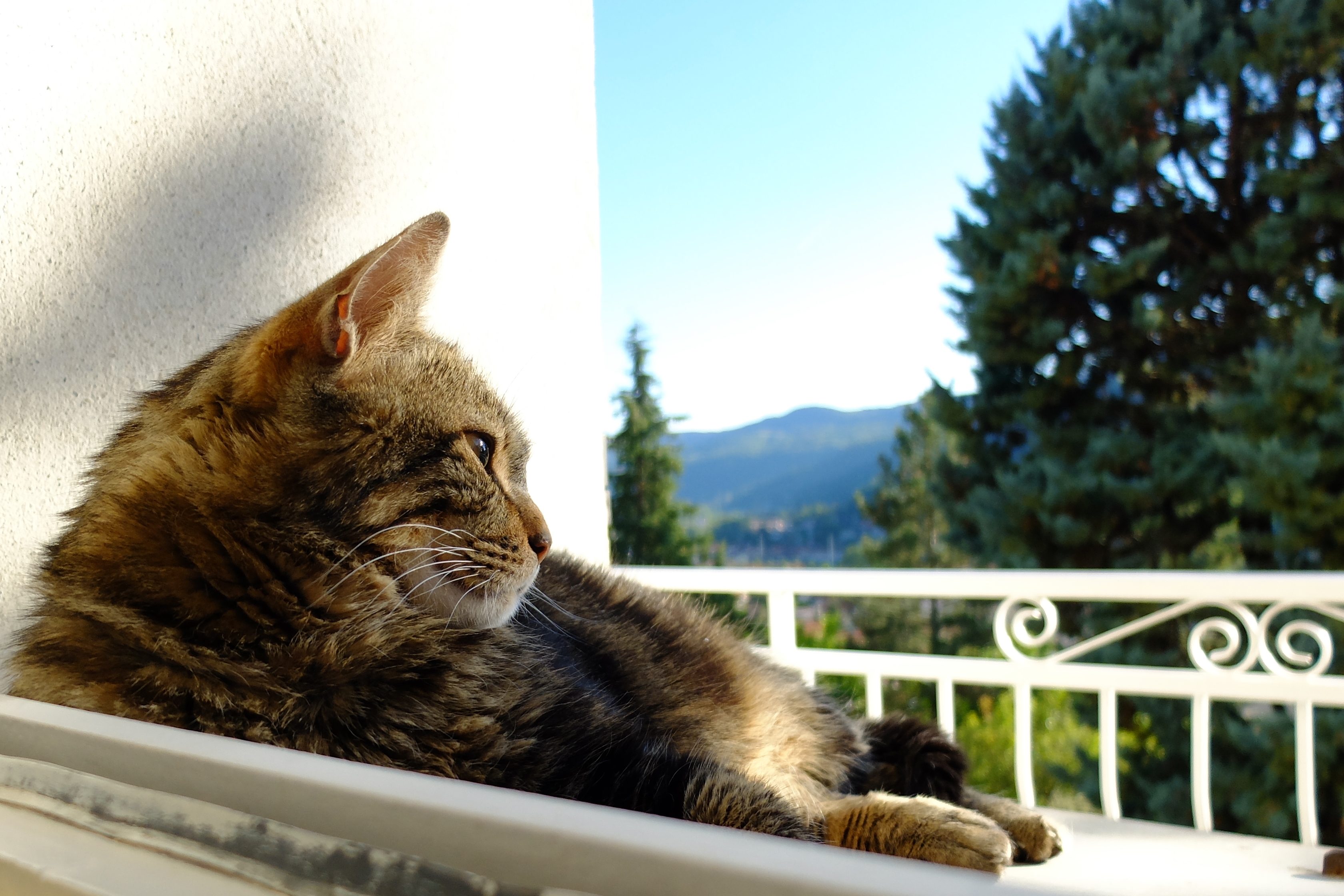 DSCF7029.JPG