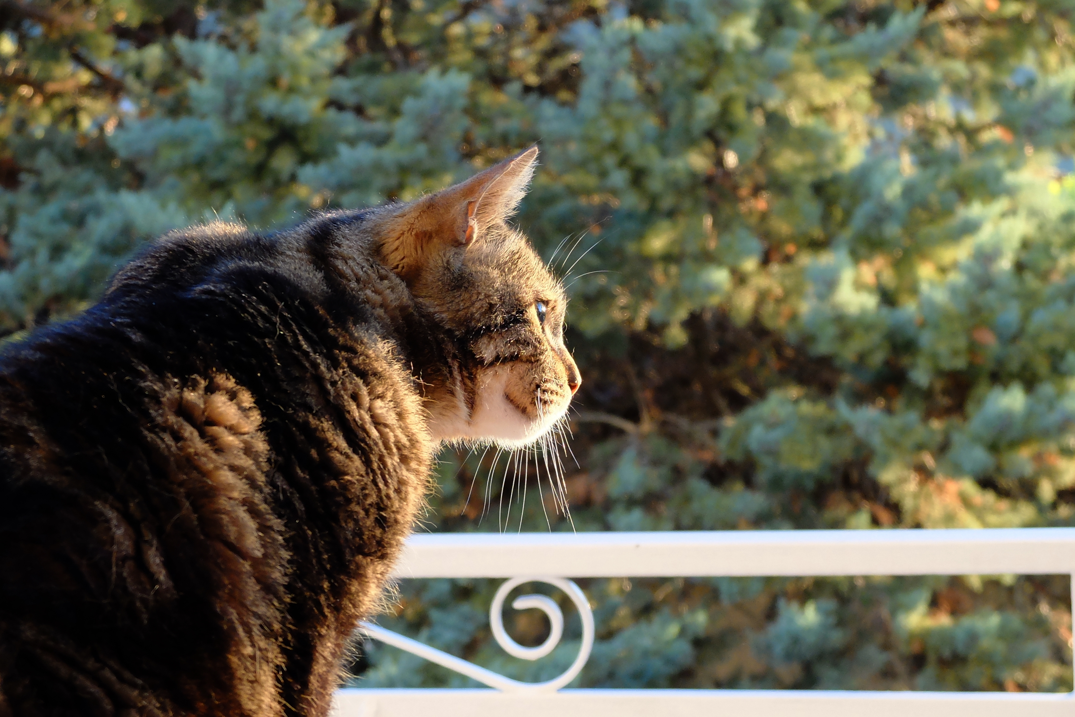 DSCF7032.JPG
