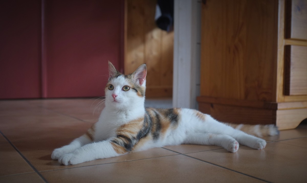 DSCF7121.JPG