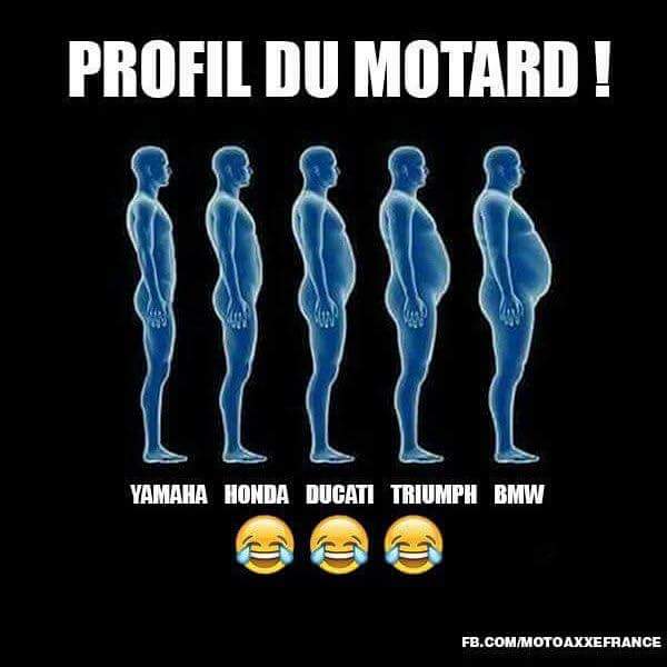 motard.jpg
