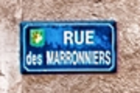 marroniers.jpg