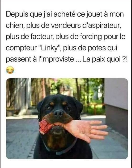ai-acheté.png