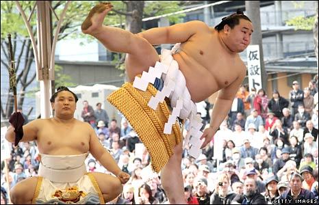 yokozuna.jpeg