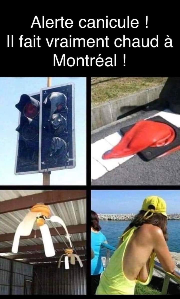 fb_i1114.jpg