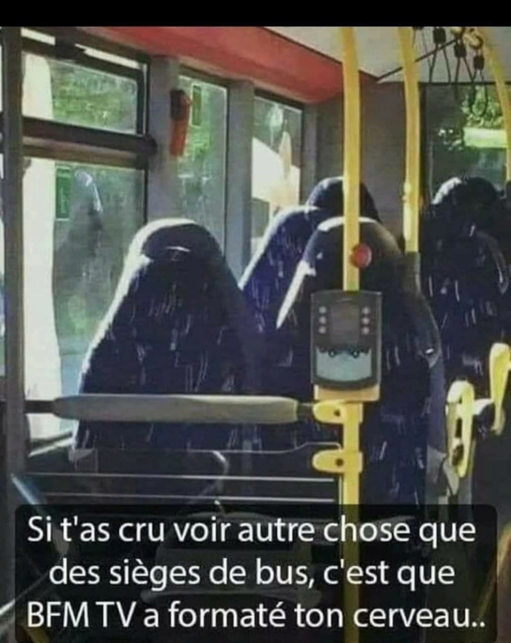 fb_i1586.jpg