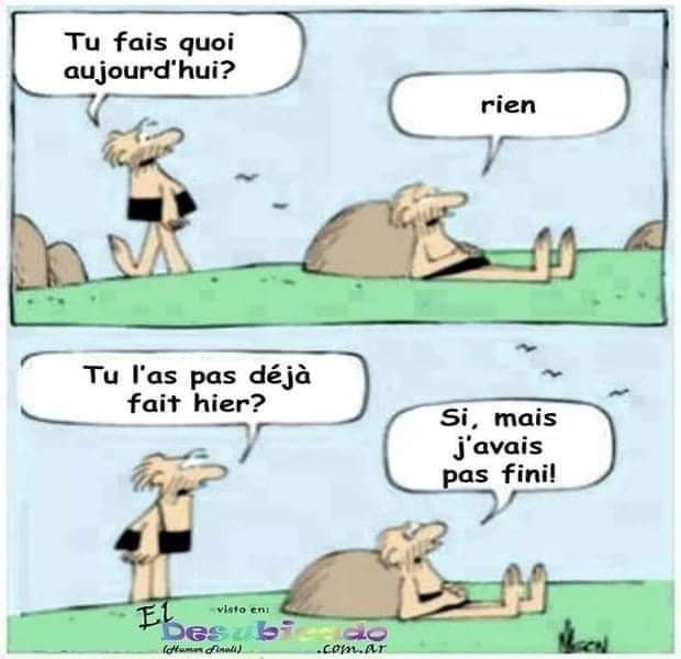 FB_IMG_1711623151293.jpg