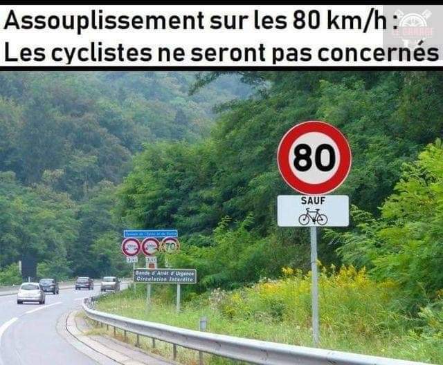 FB_IMG_1711622825667.jpg