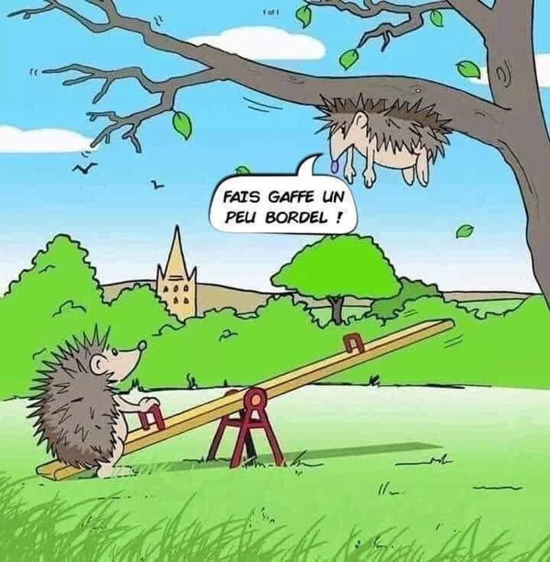 FB_IMG_1711725009871.jpg