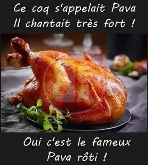 FB_IMG_1712297689453.jpg