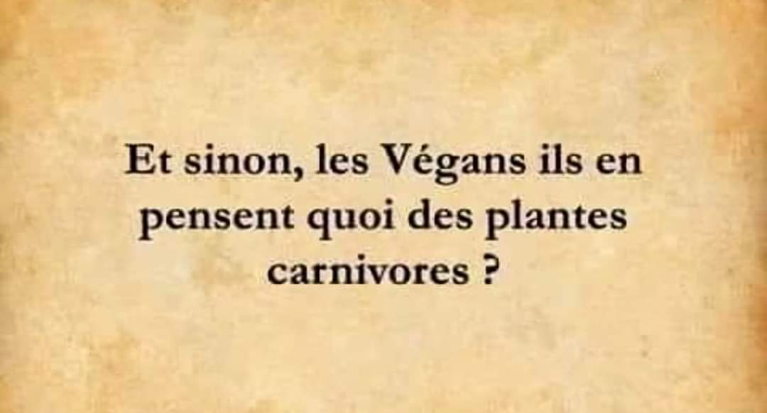 FB_IMG_1712235113149.jpg
