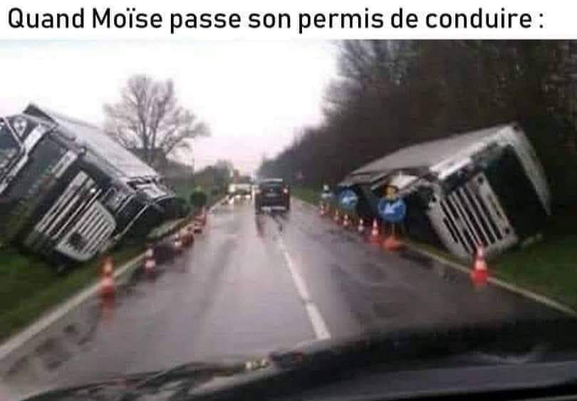 moise10.jpg