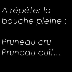 pruneau.jpg