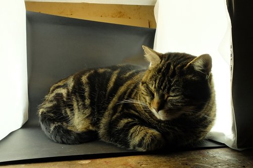 DSCF5905.JPG