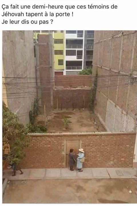 srh.jpg