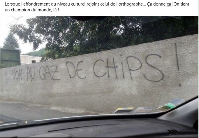 chips10.jpg