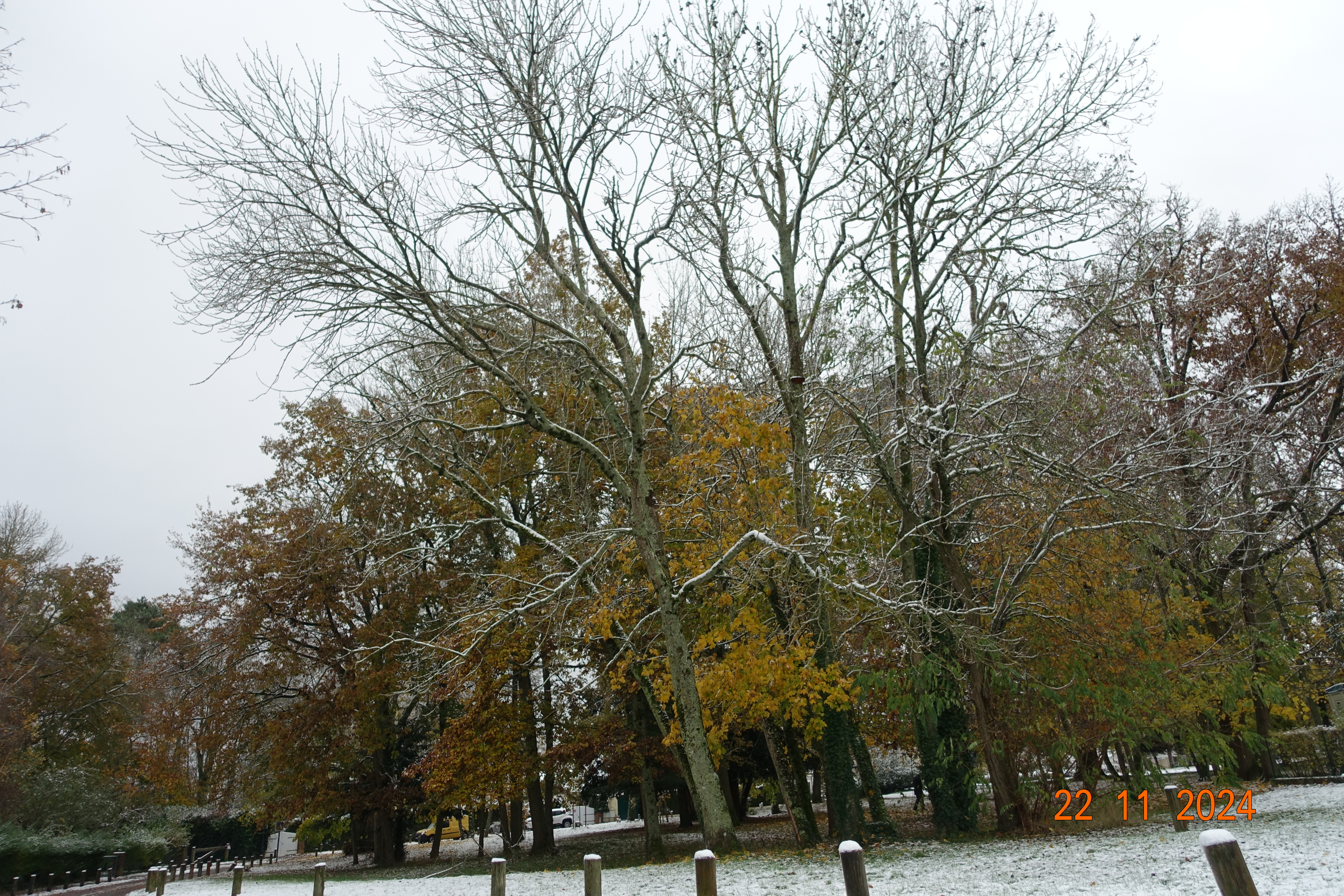 DSC01452.JPG