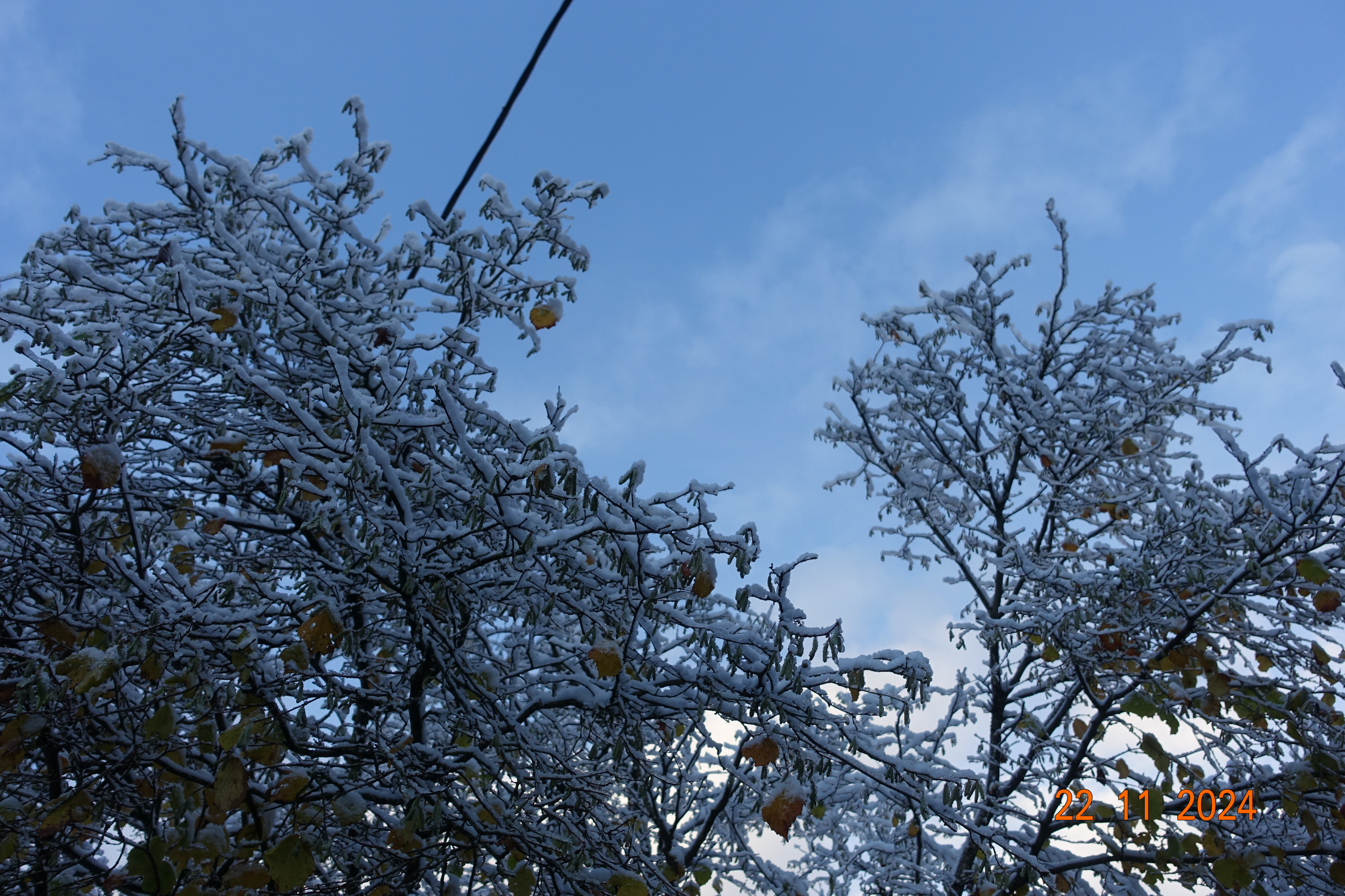 DSC01443.JPG
