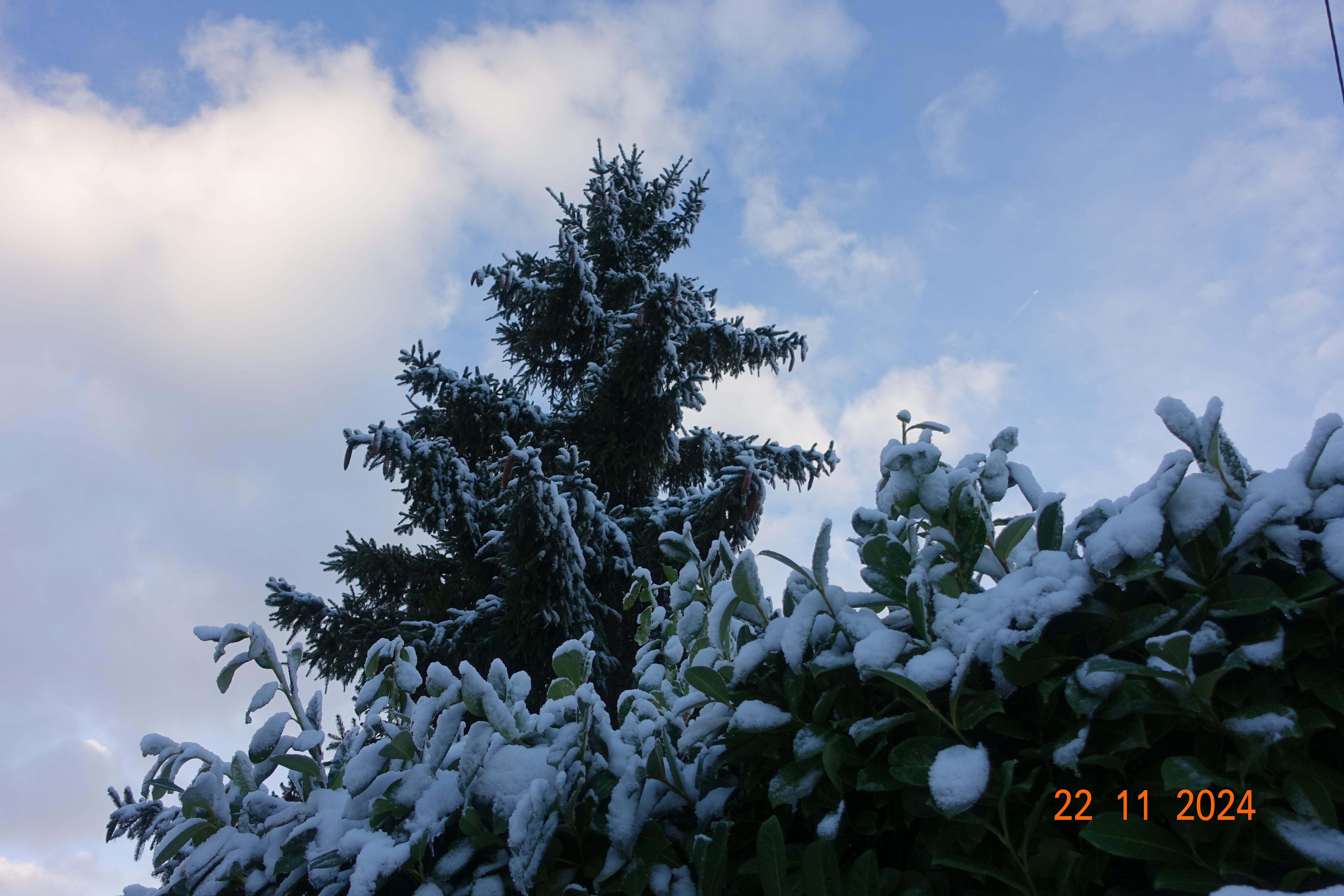 DSC01444.JPG