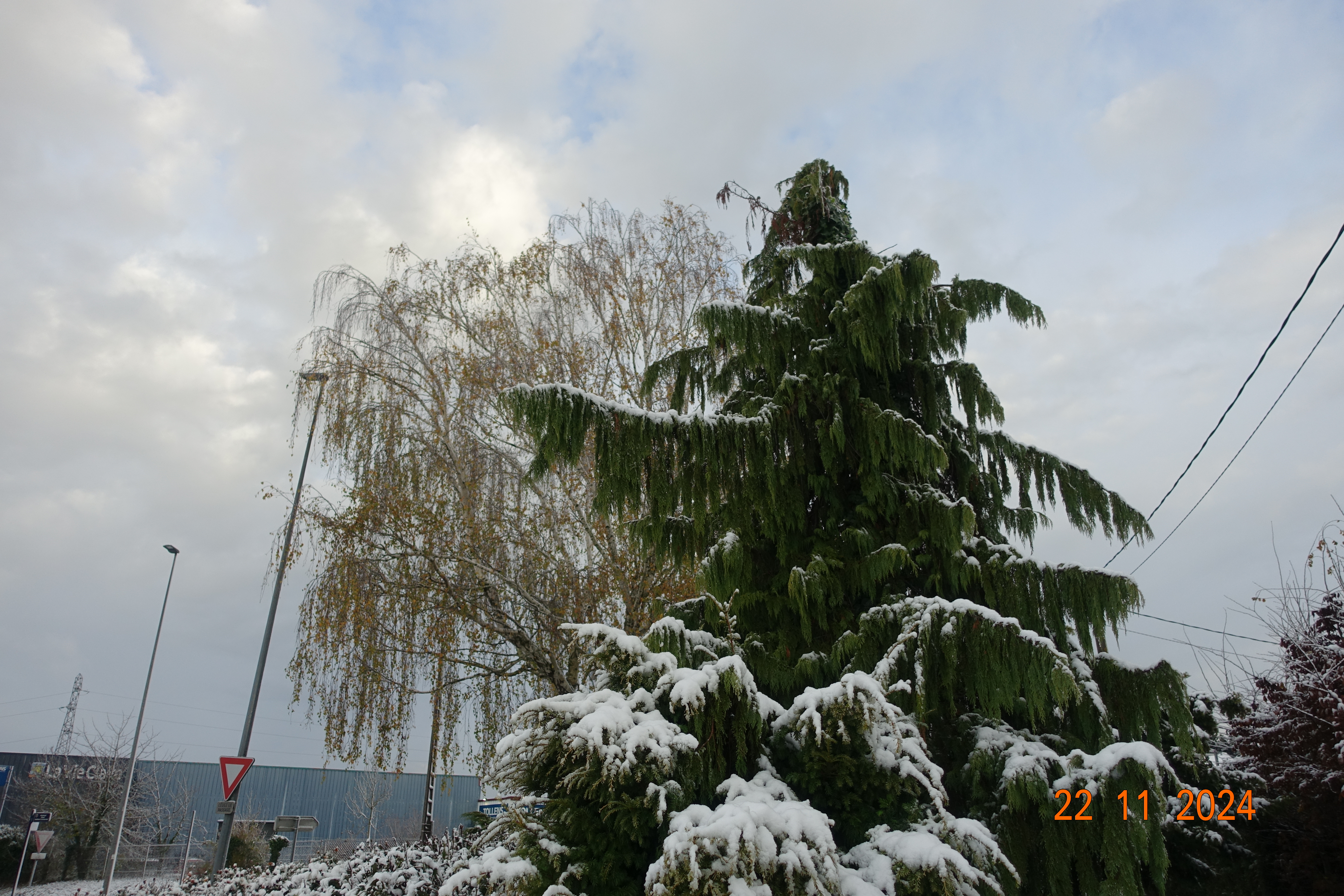 DSC01445.JPG