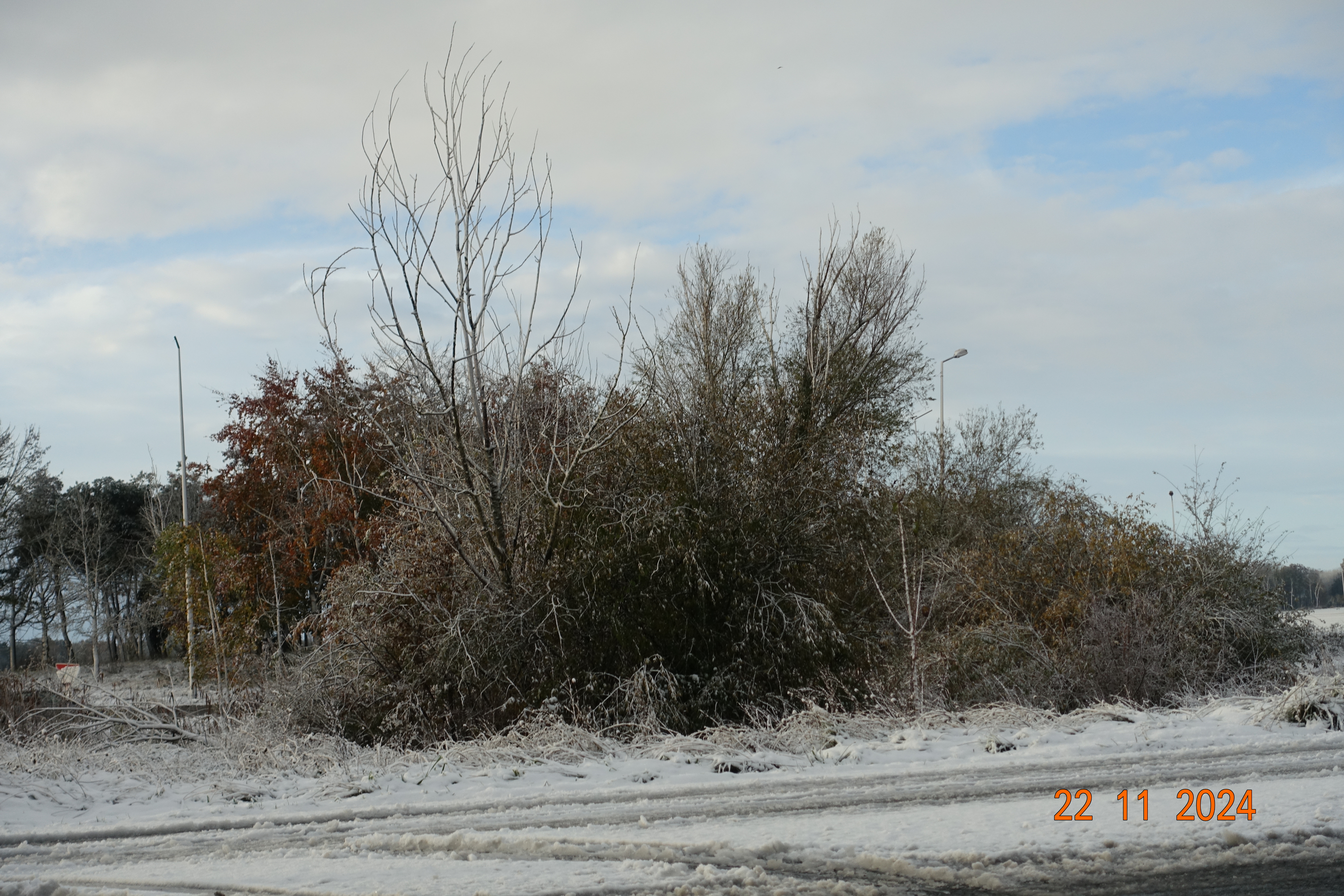 DSC01446.JPG