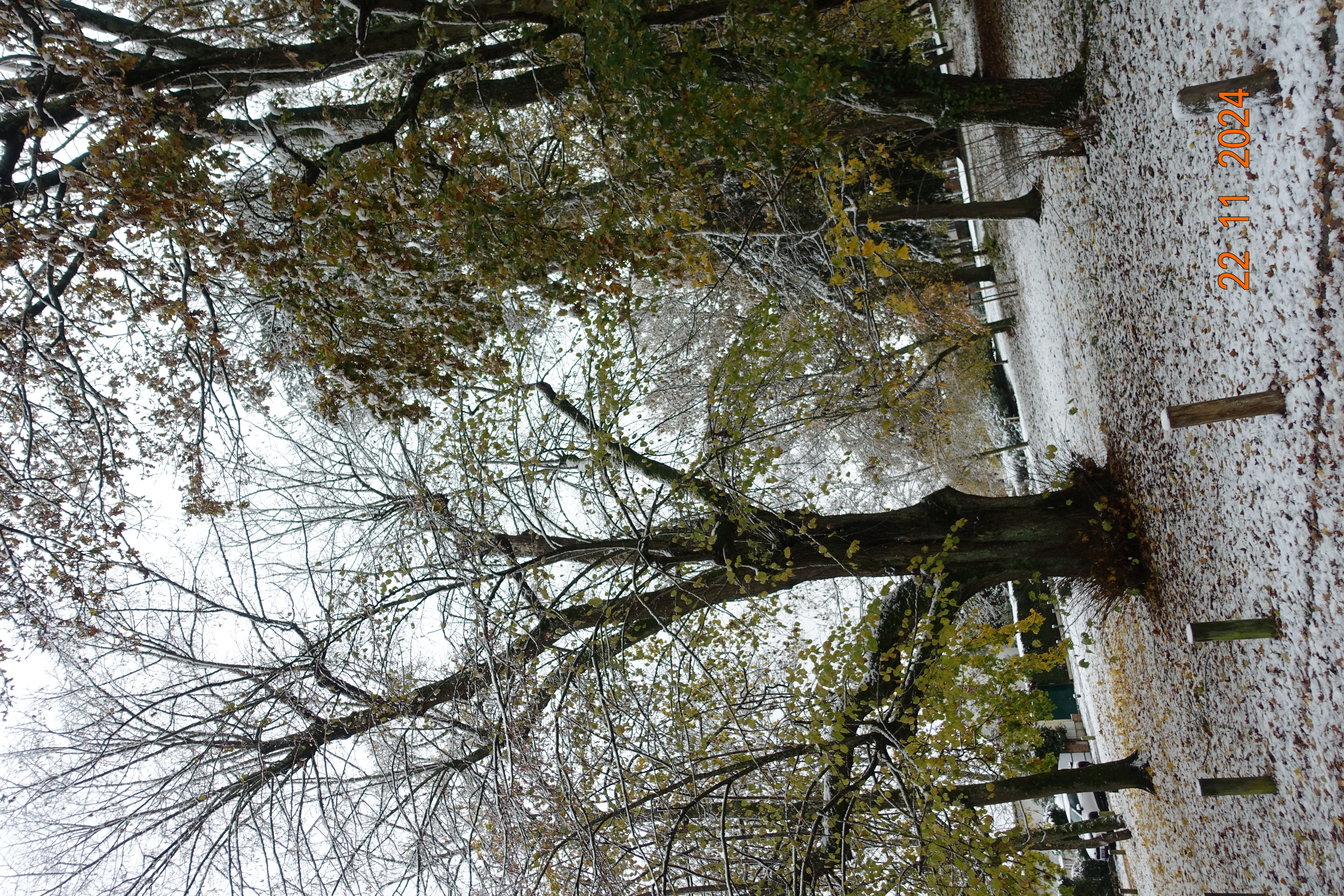 DSC01453.JPG