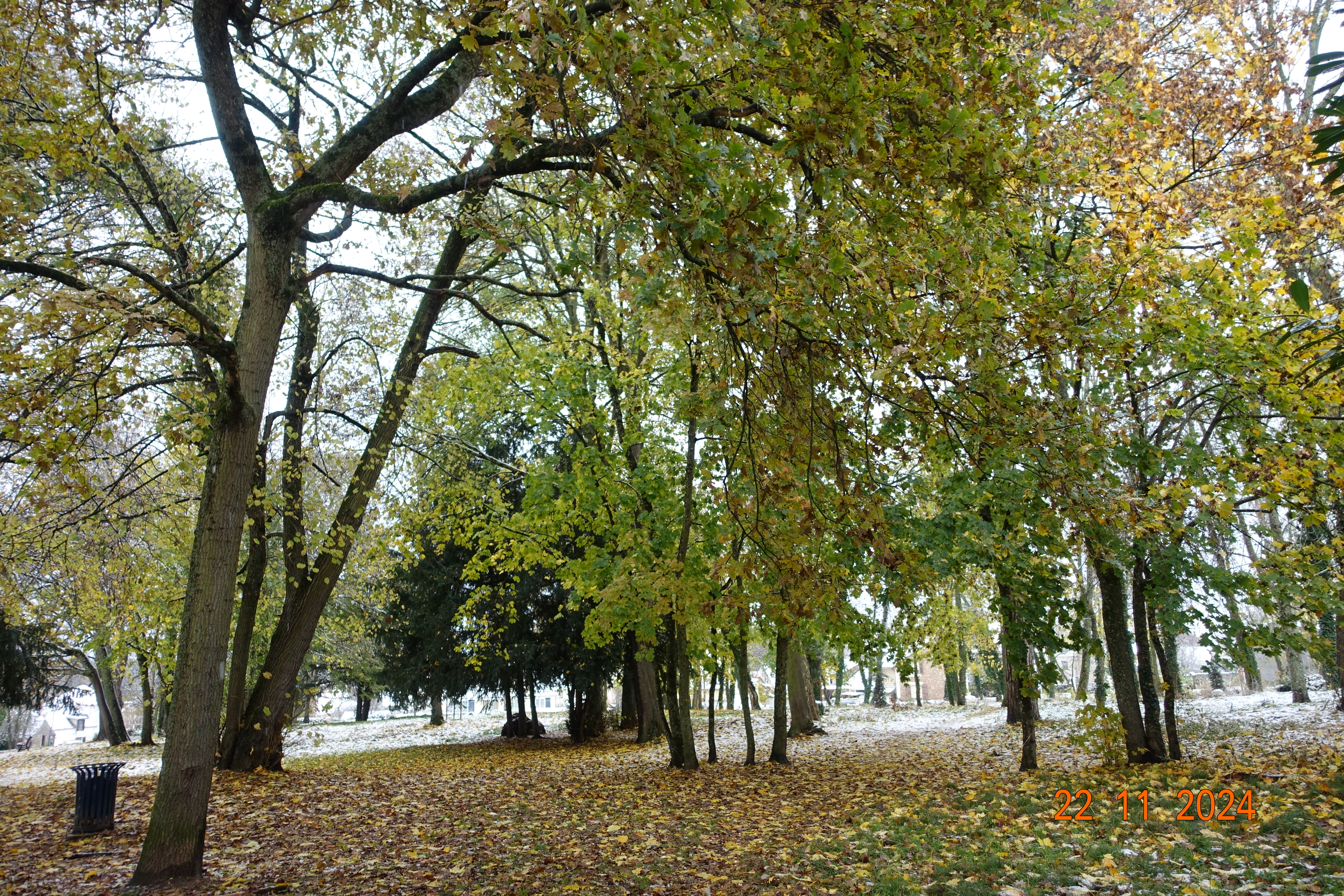 DSC01454.JPG