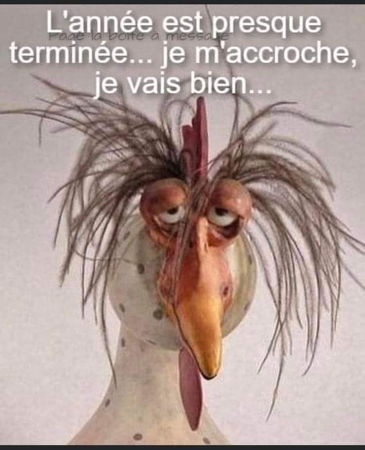FB_IMG_1731868547863.jpg
