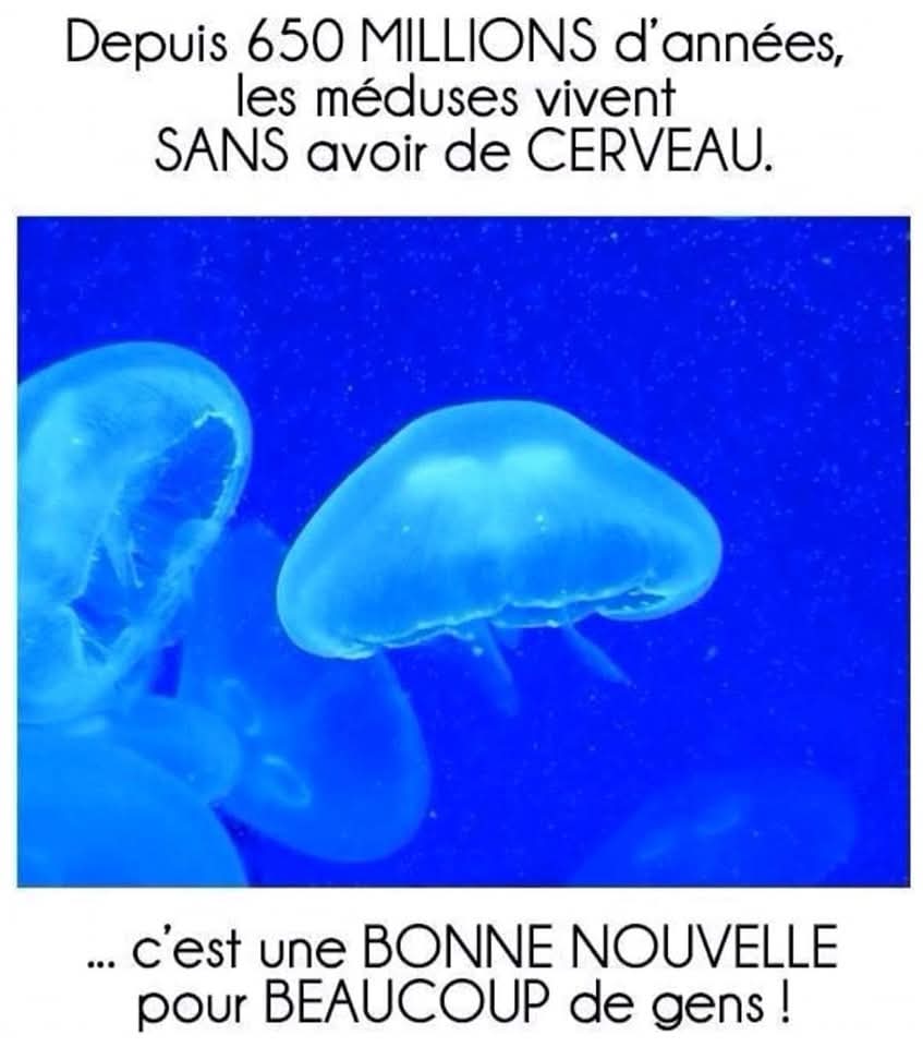 FB_IMG_1732704392153.jpg