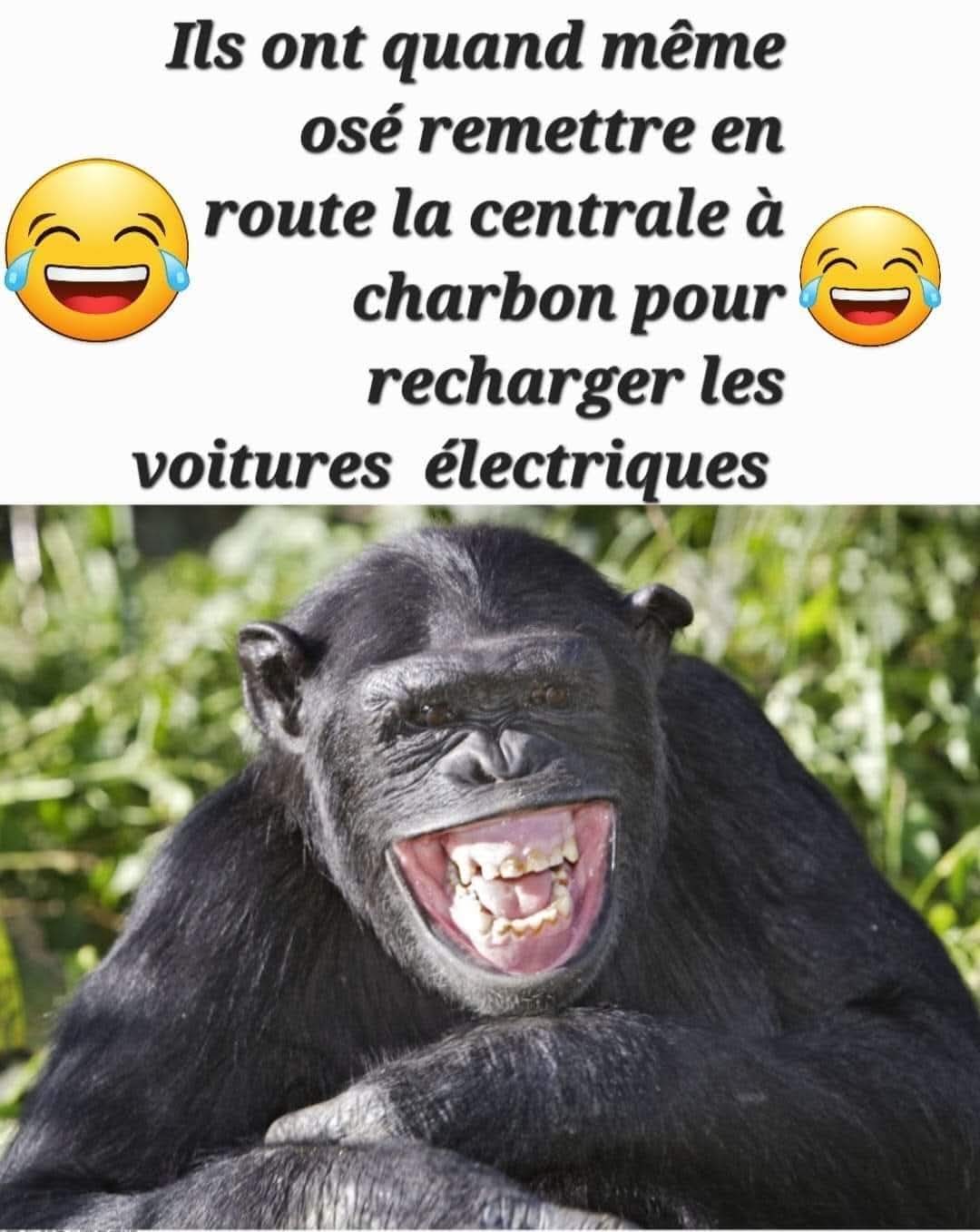 FB_IMG_1732705014300.jpg