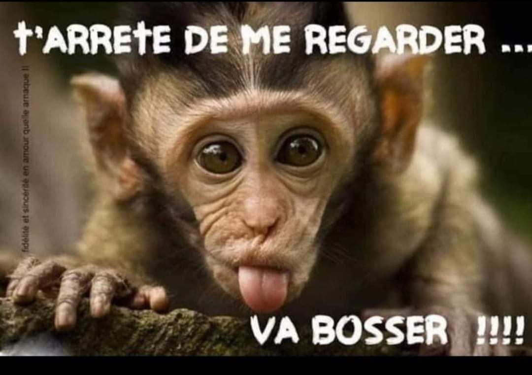 FB_IMG_1732713955393.jpg