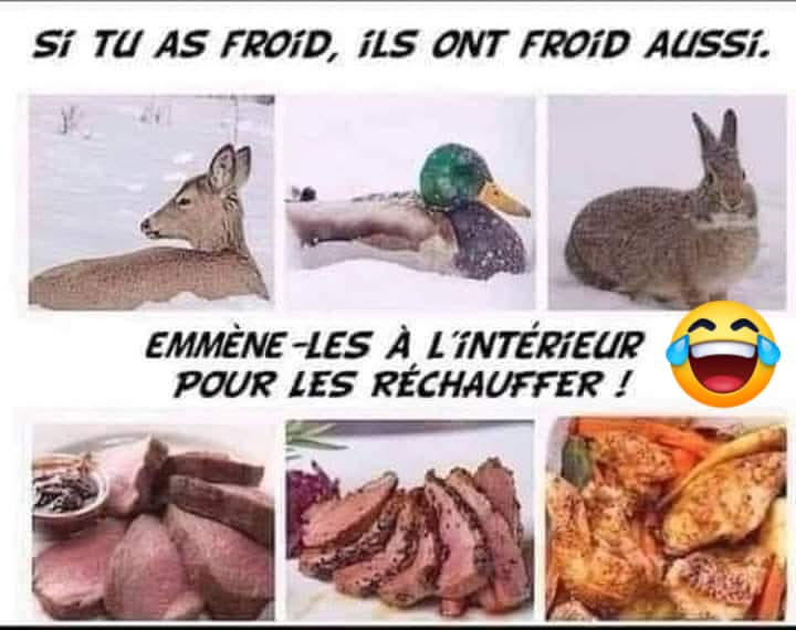 FB_IMG_1733386686667.jpg