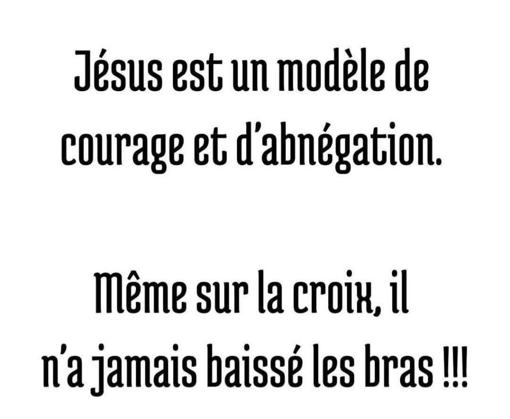 fb_i3811.jpg