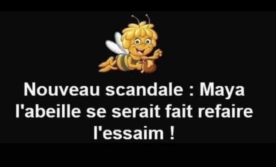 1_hum158.png