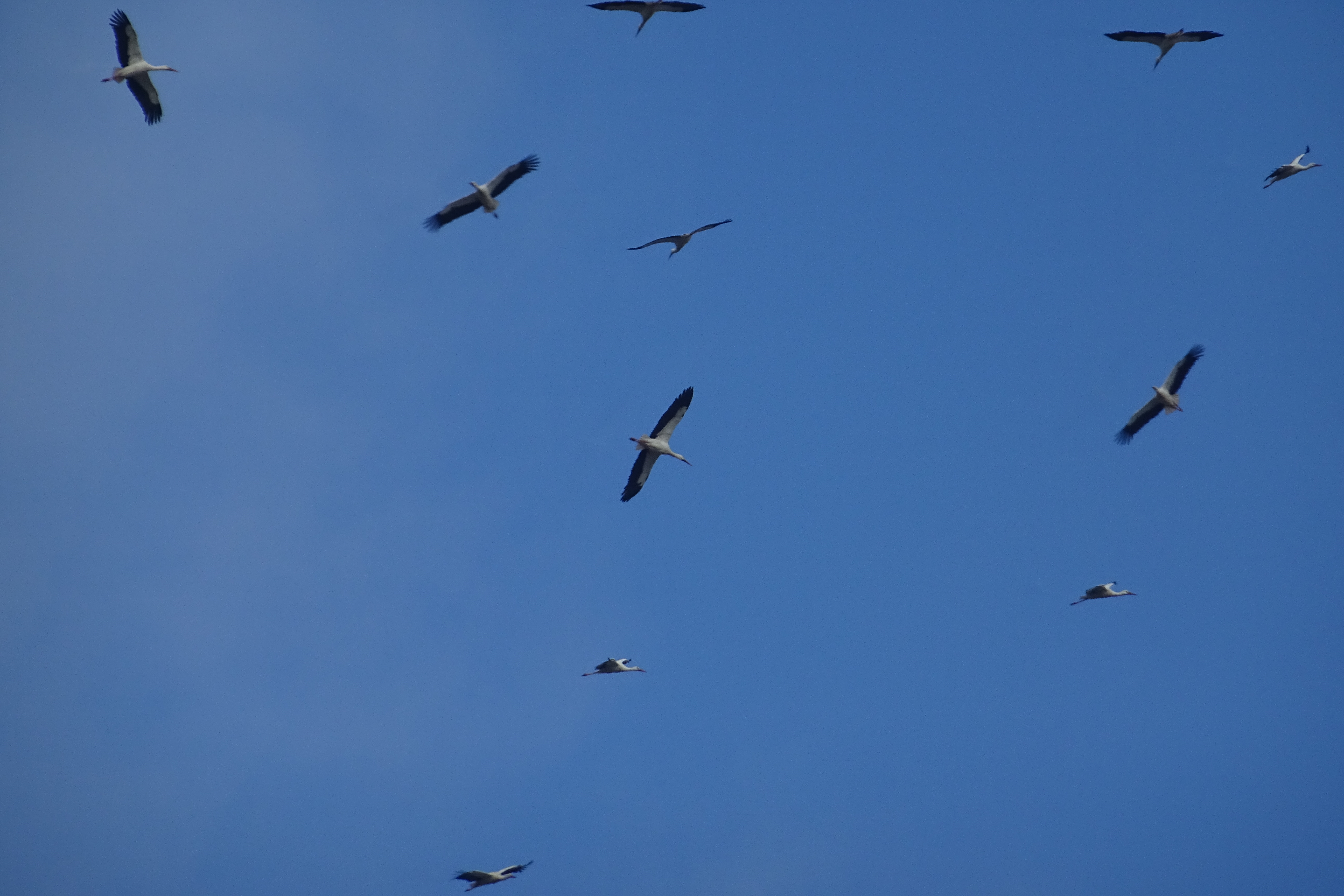 DSC02540.JPG