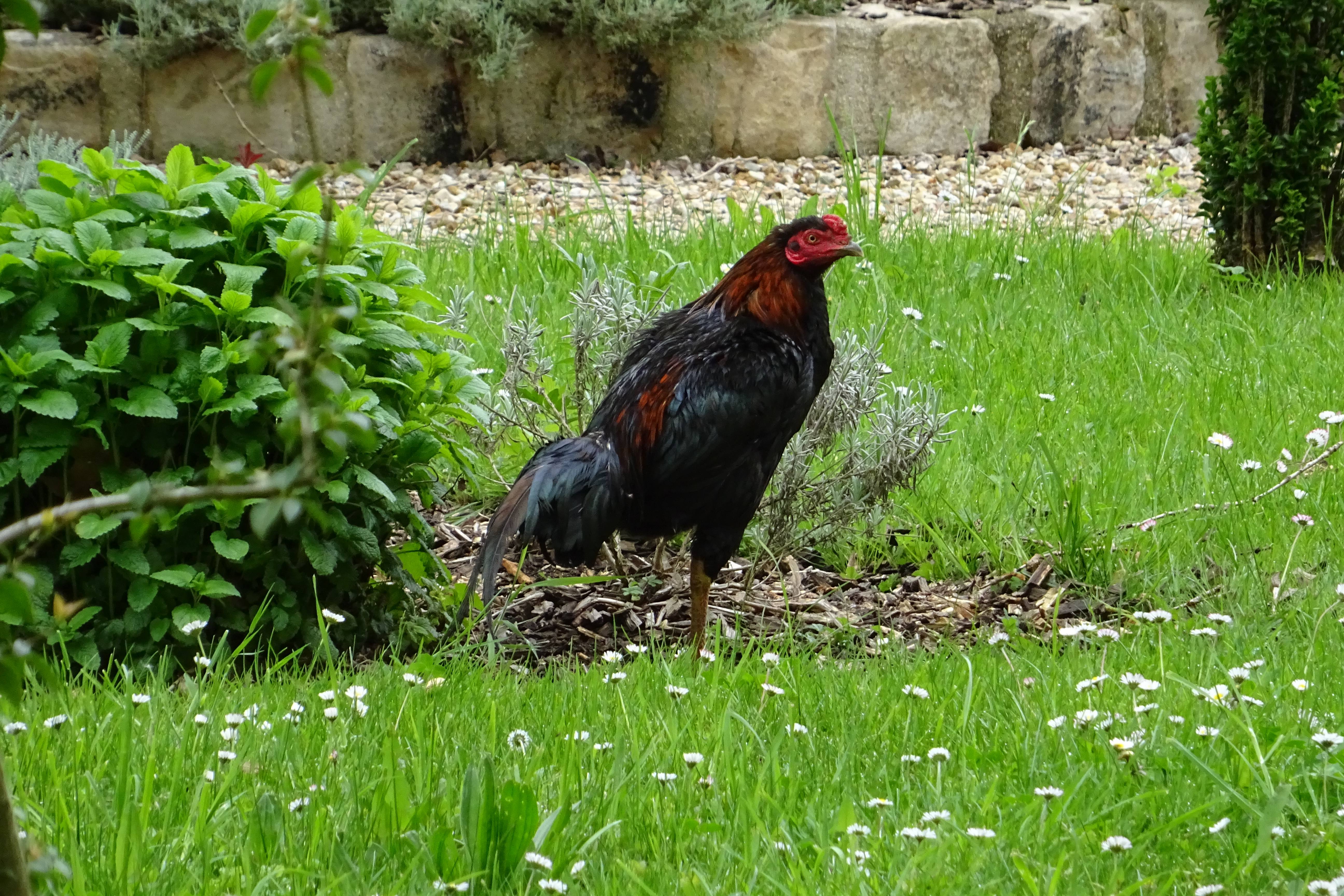 DSC03101.JPG
