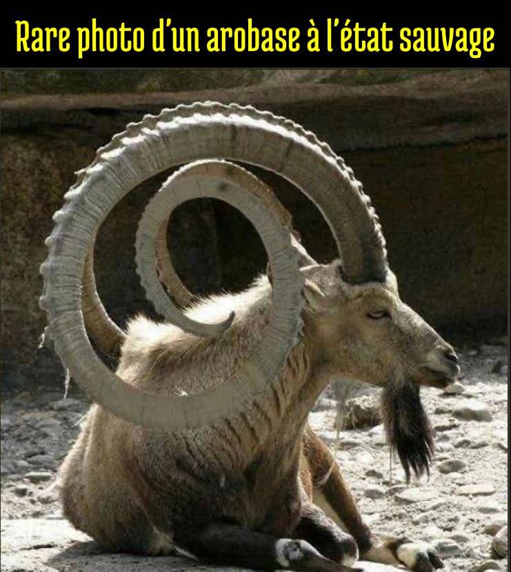 FB_IMG_1745245343040.jpg