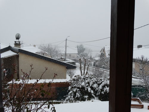 DSC02460.JPG