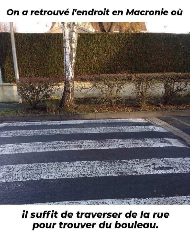 FB_IMG_1744901382000.jpg