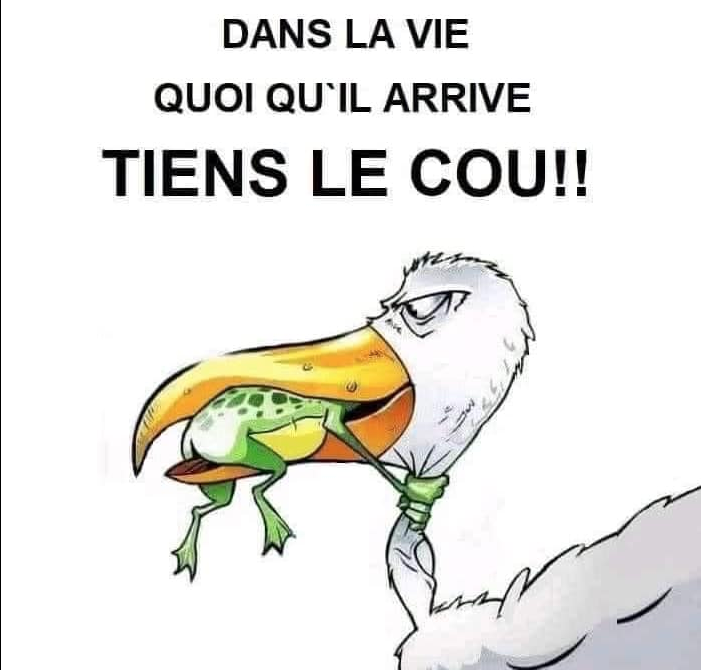 cap10737.png