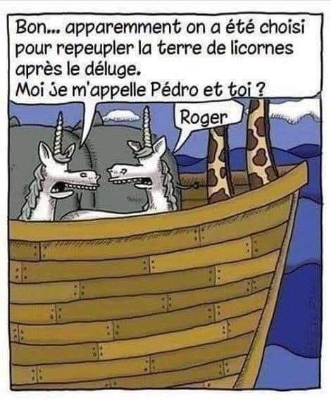 FB_IMG_1745155926908.jpg