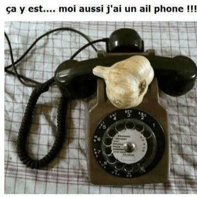 FB_IMG_1746361392732.jpg