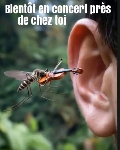 FB_IMG_1746462461778.jpg