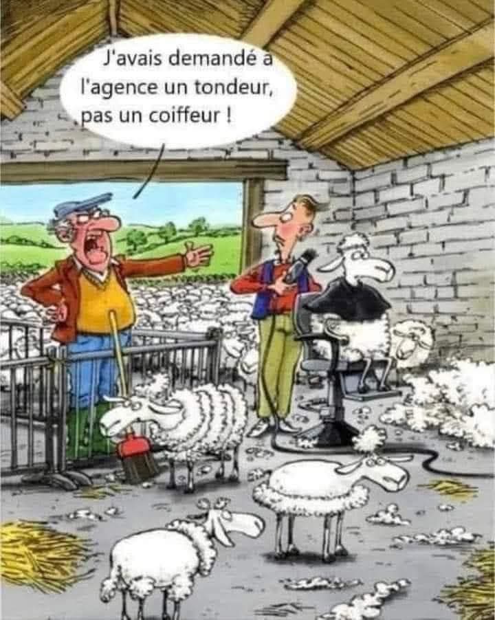 FB_IMG_1746462494595.jpg