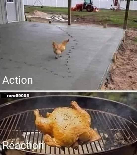 FB_IMG_1746615392034.jpg