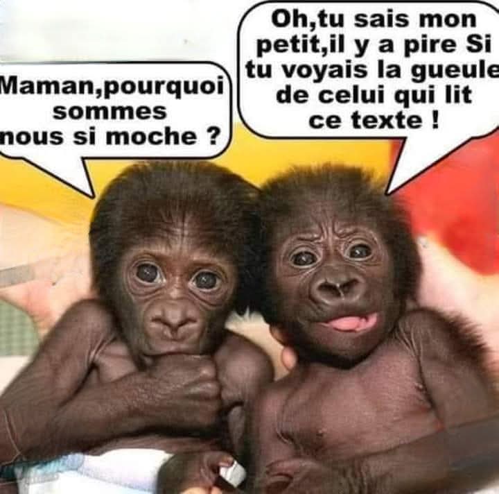 FB_IMG_1746800055871.jpg