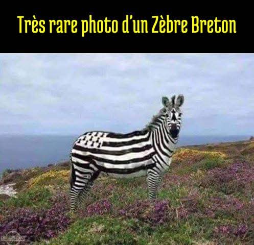 FB_IMG_1746801032692.jpg
